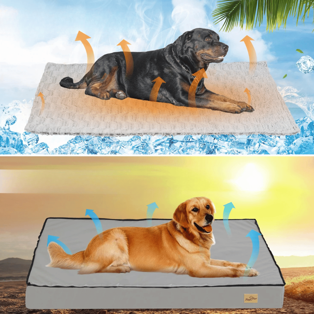 Comfortable Dog Bed – Ideal for Rest and Recovery