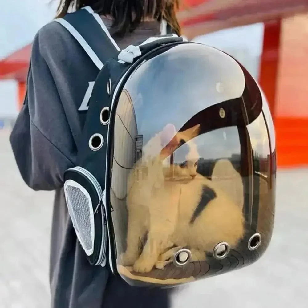 Rucksack für Katzen – Komfort und Sicherheit auf Reisen