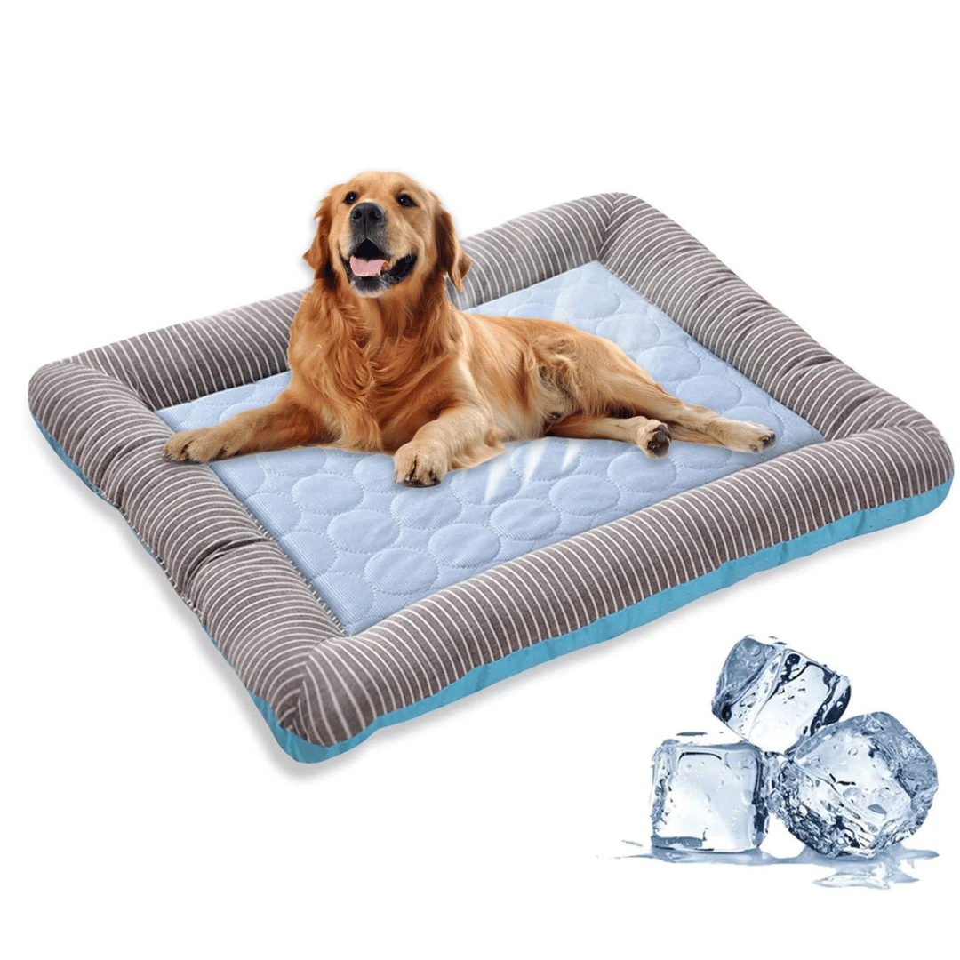 Verkoelend Kussen Voor Honden – Koelte En Comfort In De Zomer