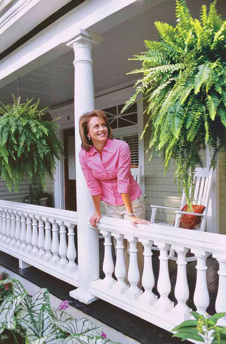 Dekorativ Bregne – Realistisk Utseende Og Lang Varighet