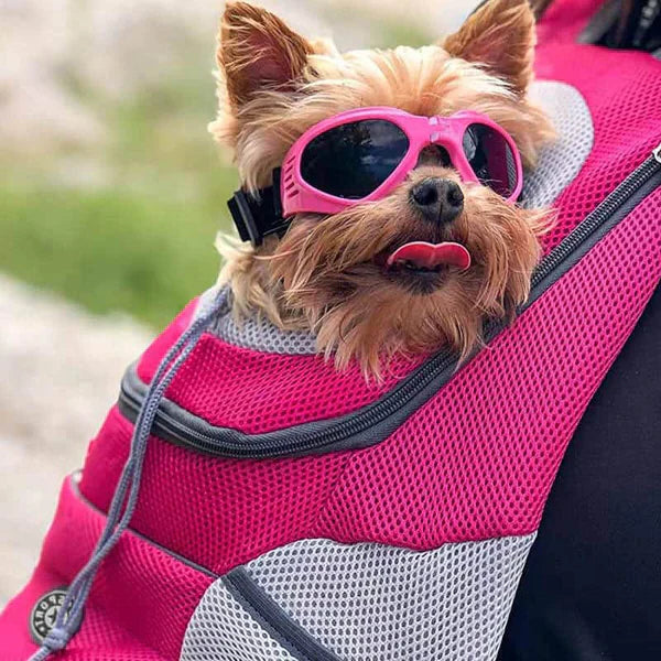Sac À Dos Animaux – Fenêtre Transparente Et Grand Espace Intérieur