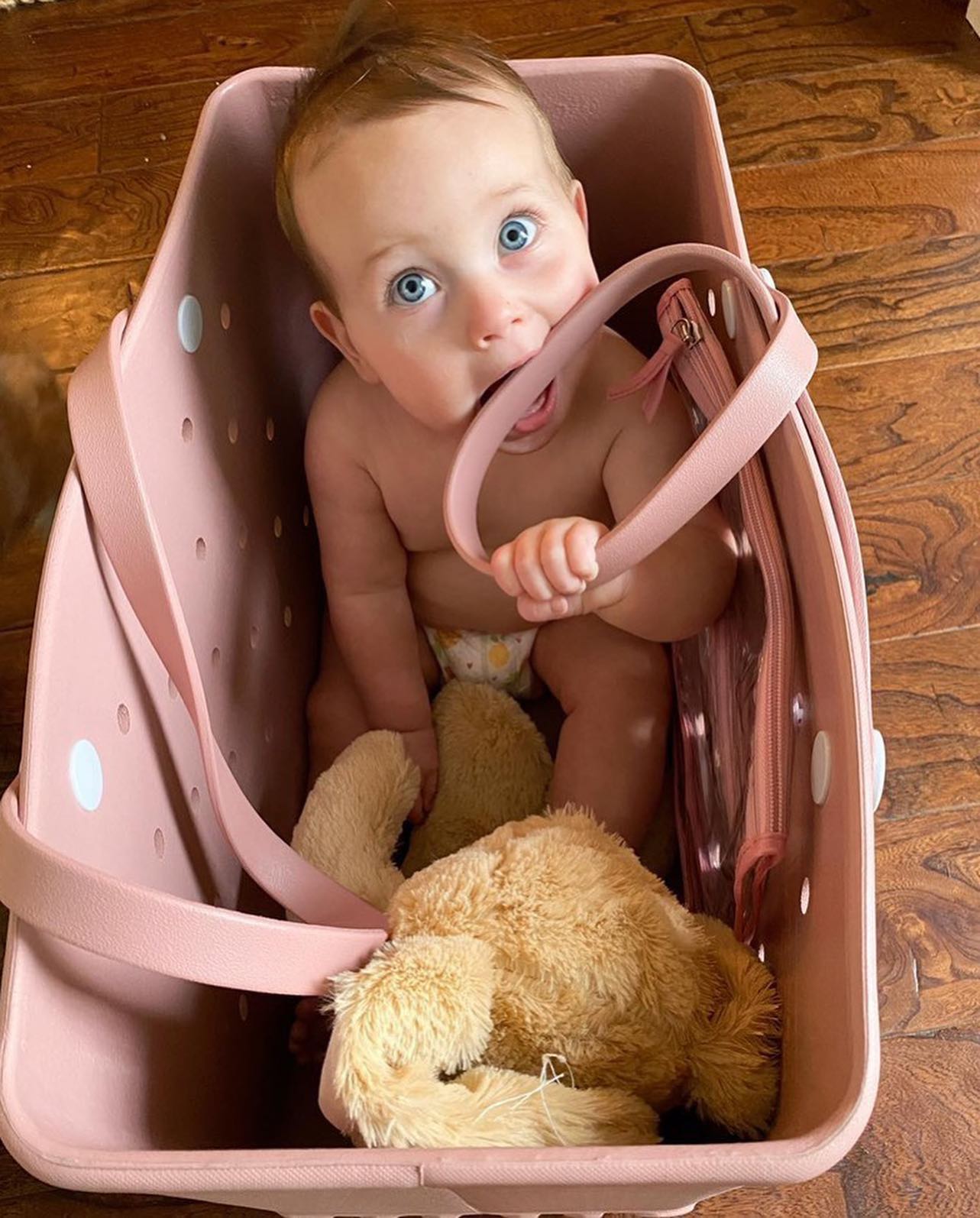 Sac De Plage Rigide — Design Coloré Et Grande Capacité