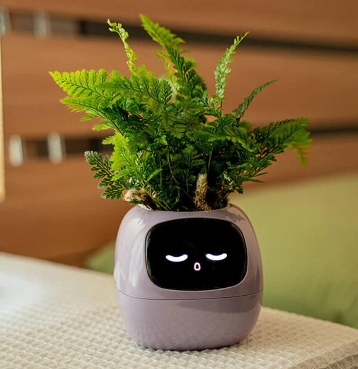 Emoji Blomsterkrukke – Original og Morsom Dekorasjon 
