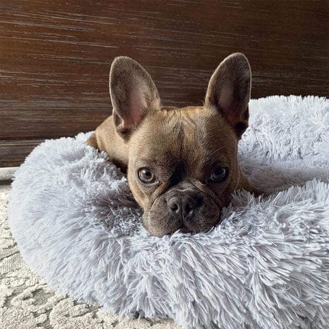 Ultra Soft Calming Bed for Pets – Comfort and Serenity 