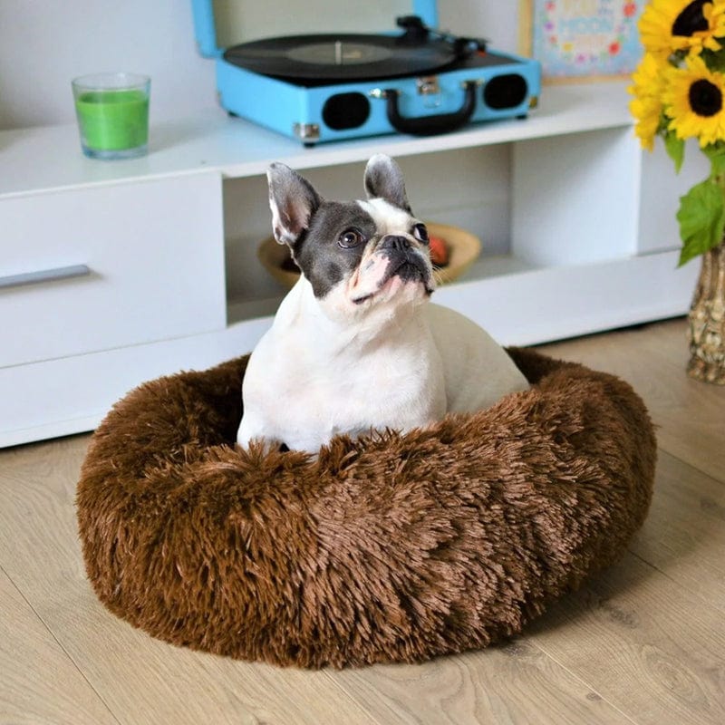 Ultra Soft Calming Bed for Pets – Comfort and Serenity 