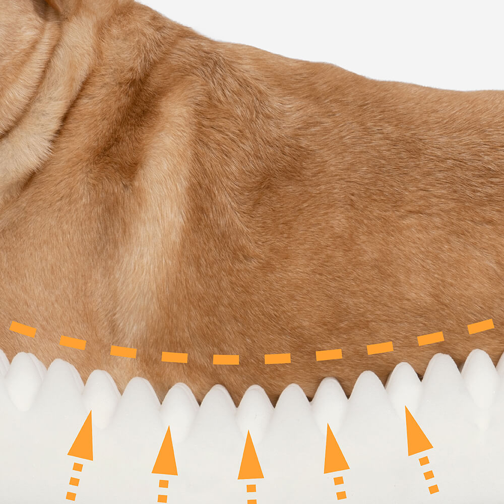 犬用ドーナツ型ベッド – 快適さと柔らかさ 