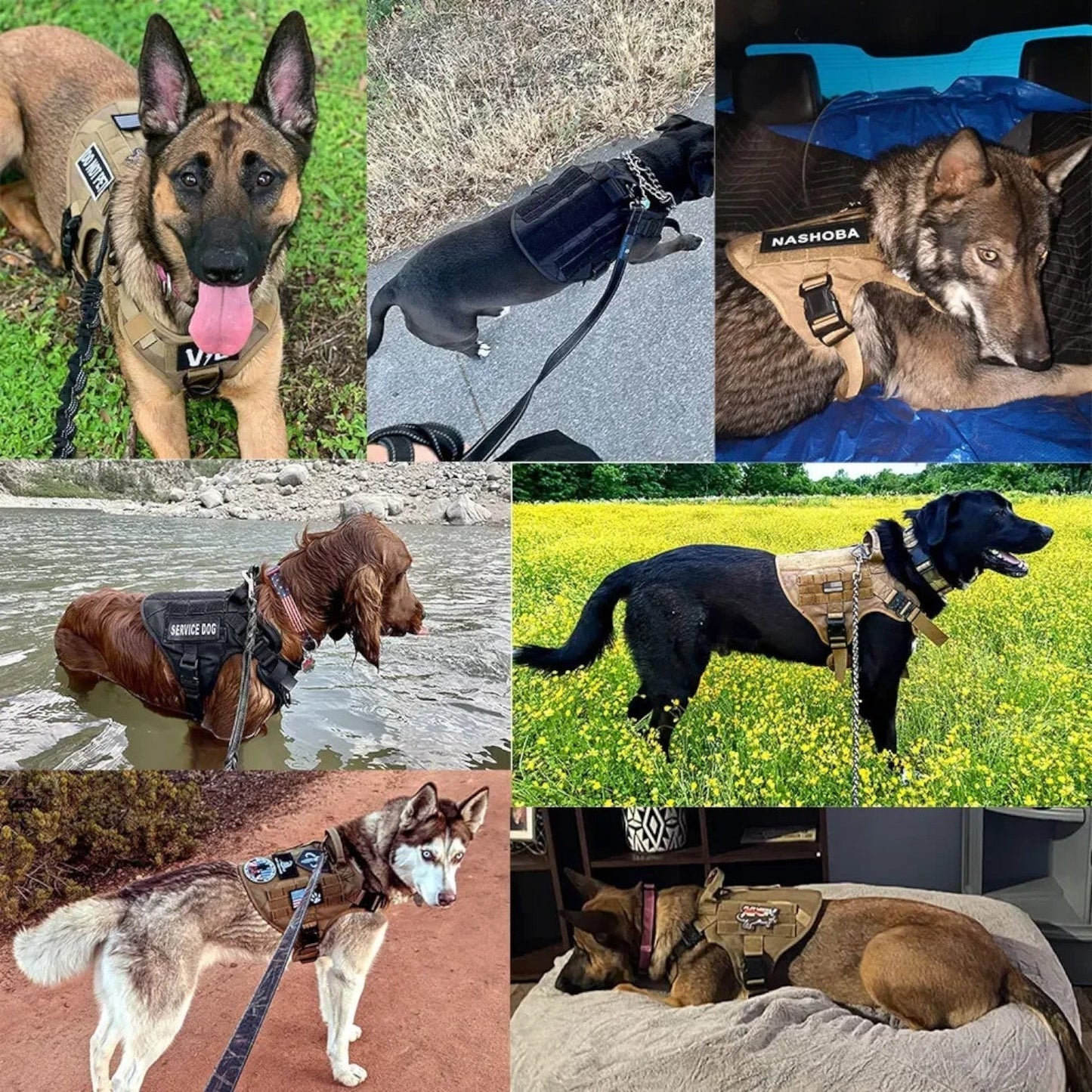 Justerbart Hundesele – Robusthet og Kontroll 