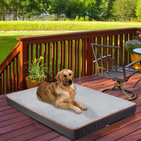 Seng Til Store Hunde – Komfort Og Tilpasset Plads 