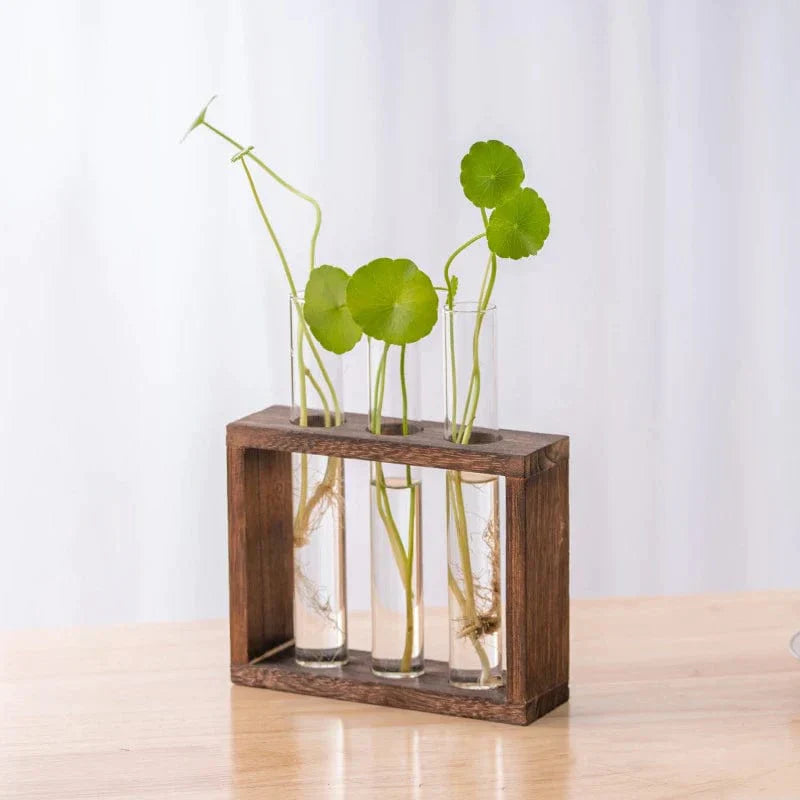 Vases Tubes Décoratifs – Simplicité Et Style Nature