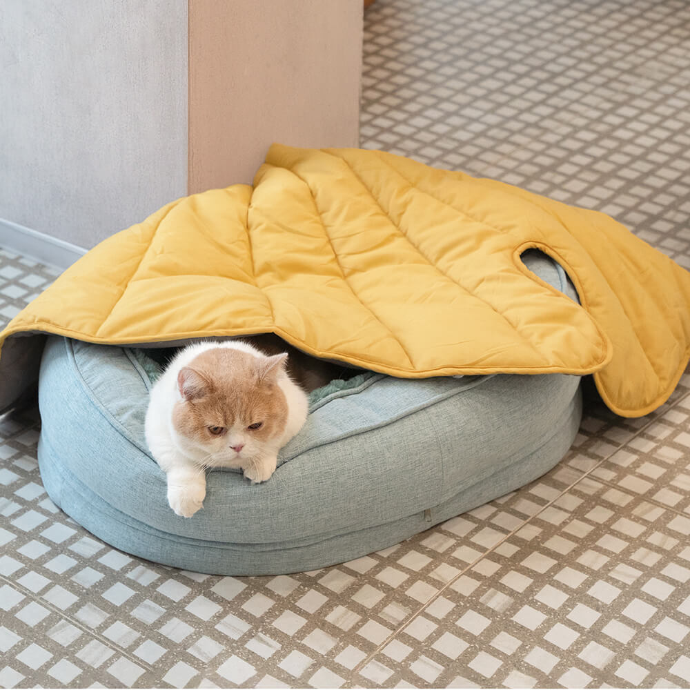犬用ドーナツ型ベッド – 快適さと柔らかさ 