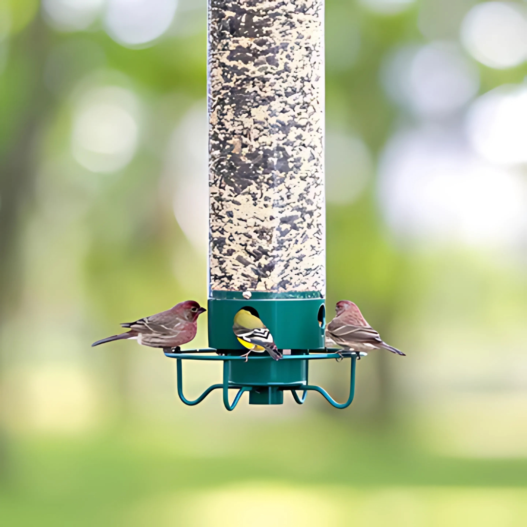 Fågelmatare i hängande design – Squirrel-skydd och lätt att fylla 