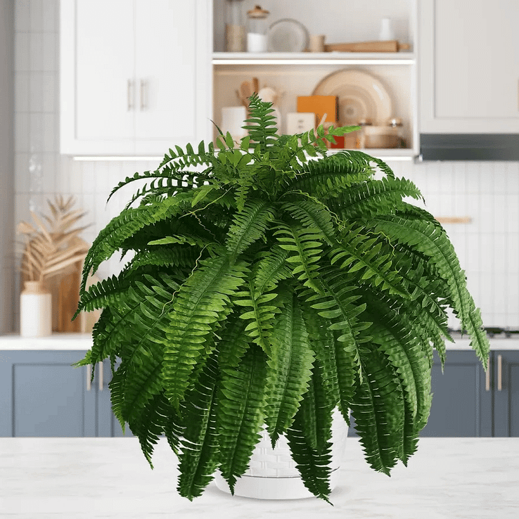 Felce Decorativa Artificiale – Aspetto Realistico e Lunga Durata 