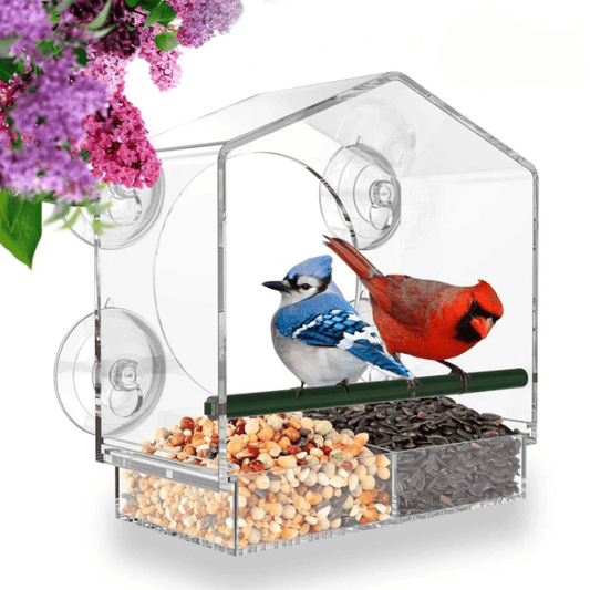Comedero Transparente - Alimenta y Observa a los Pájaros Desde Tu Ventana 