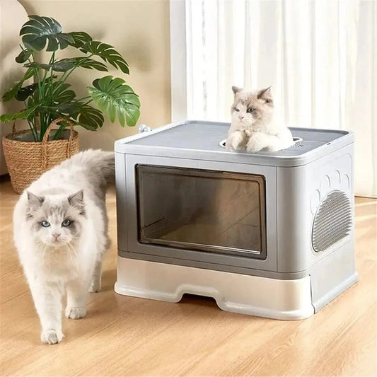 Areia para Gato – Conforto e Higiene Otimais 